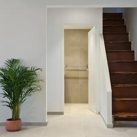 T4 Duplex